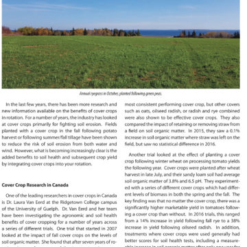 Keeping Your Soils Covered – Factsheet
